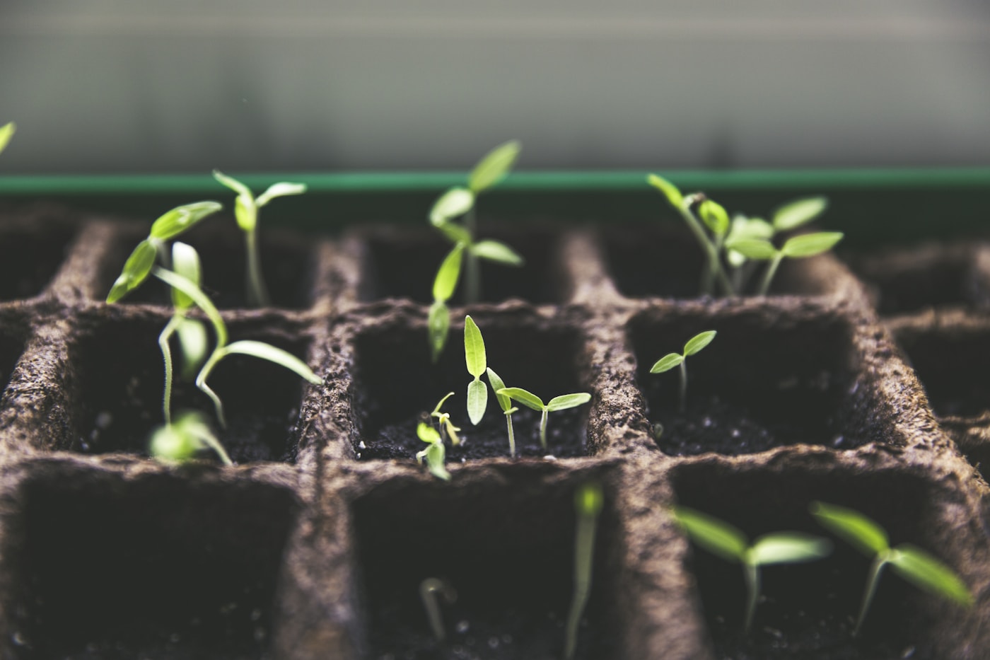 Sustainable growth planning for responsible investing